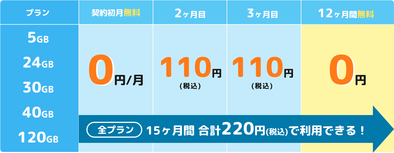 15ヶ月間、合計220円(税込)で利用できる！
