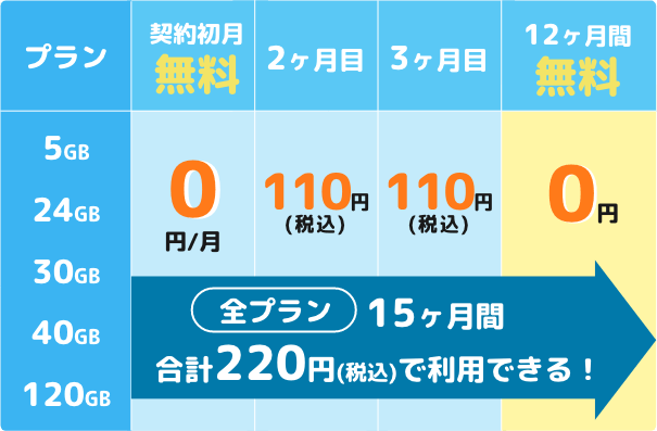 15ヶ月間、合計220円(税込)で利用できる！